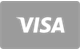 Visa card accepted at ToonieBet Casino